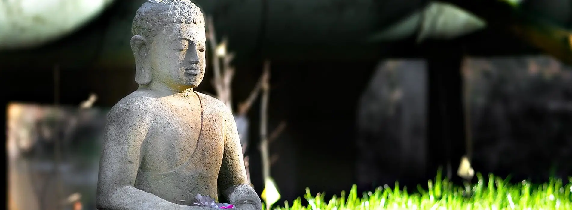 buddha image