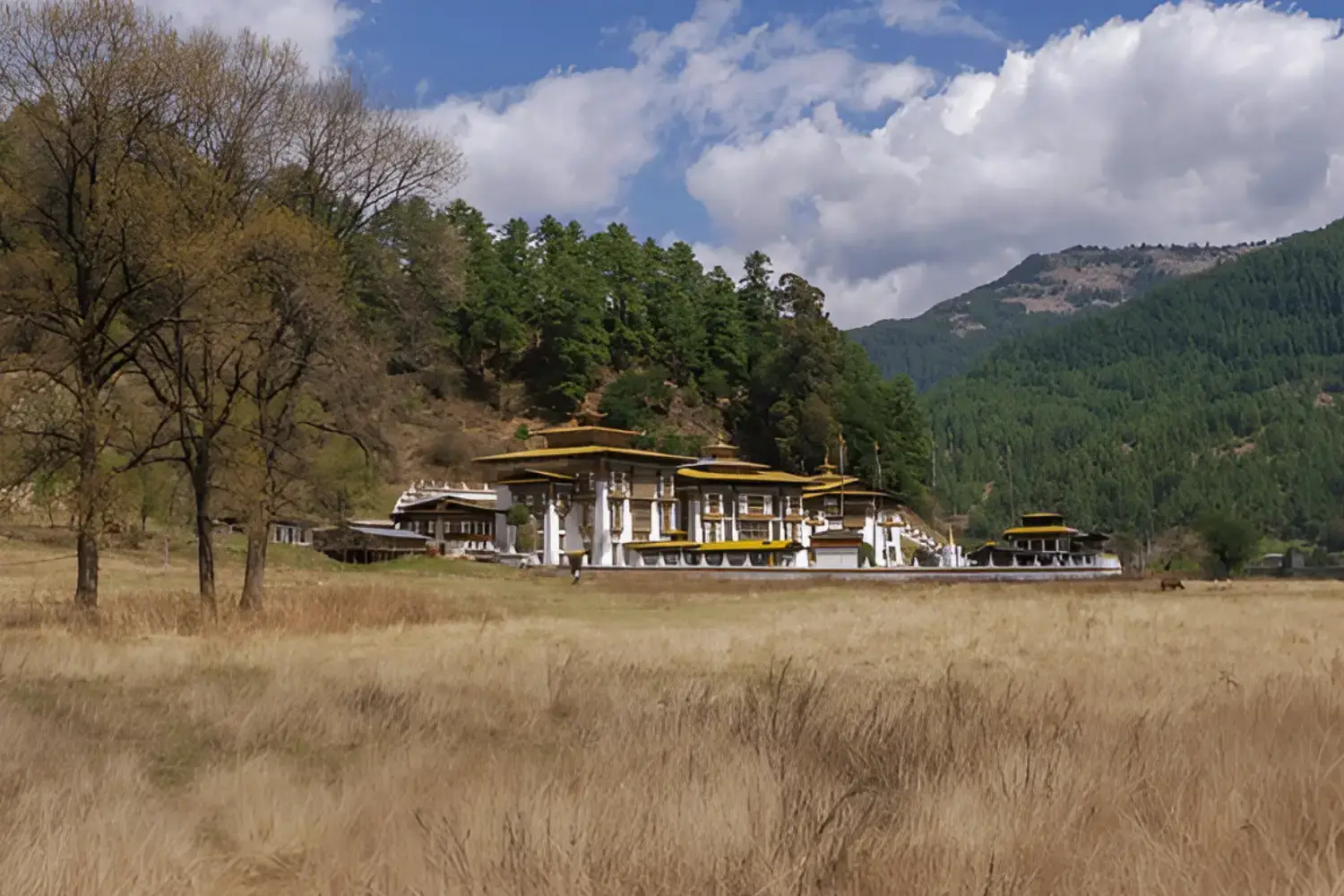 Kurjey Lhakhang-Popular Buddhist Pilgrimage Site in Bhutan
